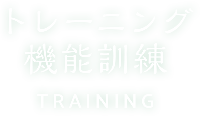 トレーニング 機能訓練